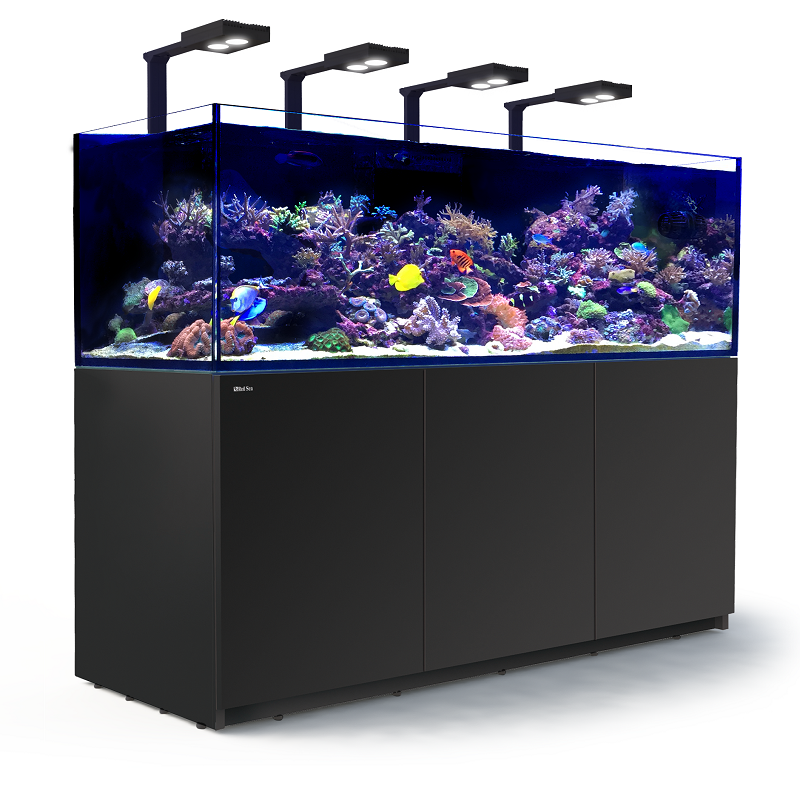 REEFER XXL 750 DE LUJO
